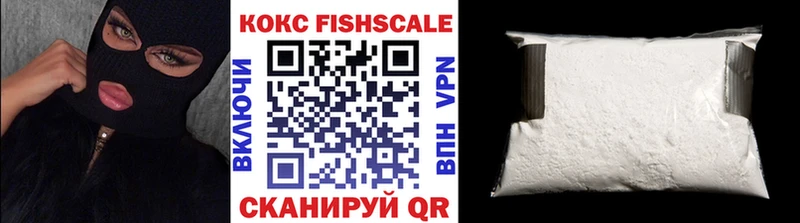 Купить закладки  Камбарка  Кокаин Fish Scale 