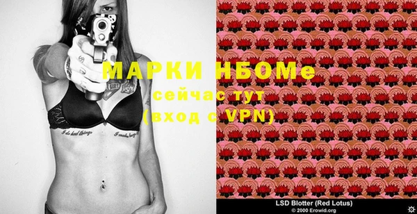 прущие грибы Киренск