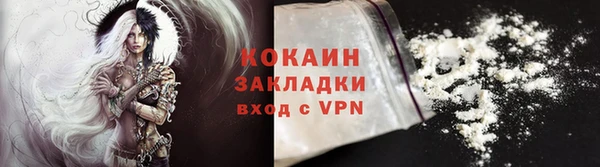 прущие грибы Киренск