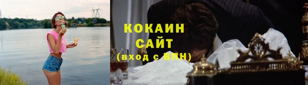 прущие грибы Киренск