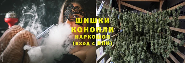 прущие грибы Киренск