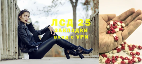 прущие грибы Киренск