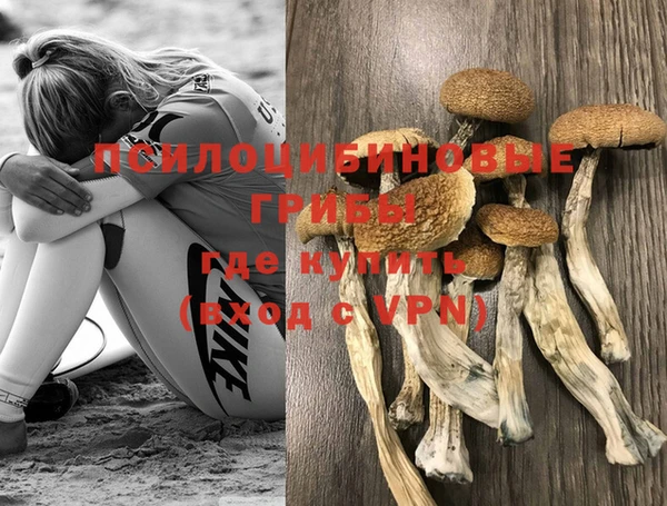 прущие грибы Киренск