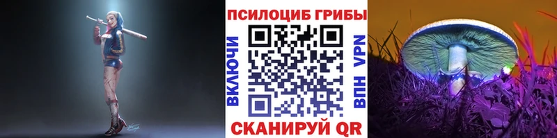 Купить закладки  Камбарка  Галлюциногенные грибы Psilocybe 
